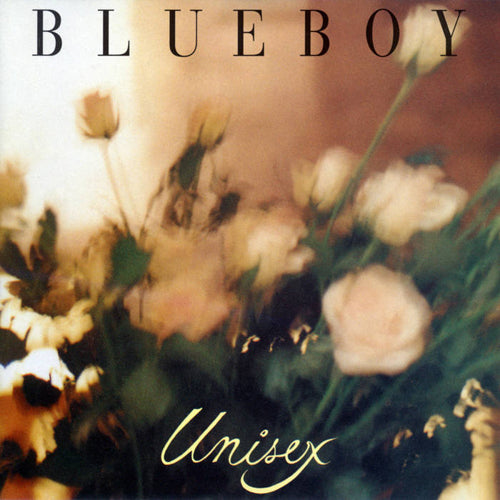 最終】BLUE BOY Unisex レコード ネオアコ 最終】BLUE BOY Unisex レコード ネオアコ