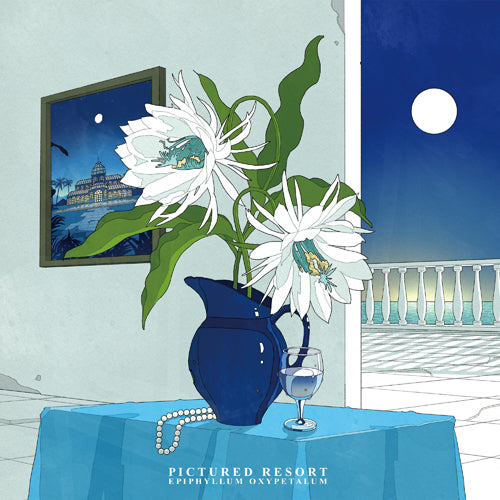 PICTURED RESORT / EPIPHYLLUM OXYPETALUM (12