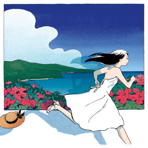 PICTURED RESORT / AWAY TO PARADISE (7