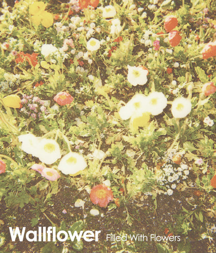 邦楽 Filled With Flowers/Wallflower WALLFLOWER / FILLED WITH FLOWERS (CDEP) – fastcut records