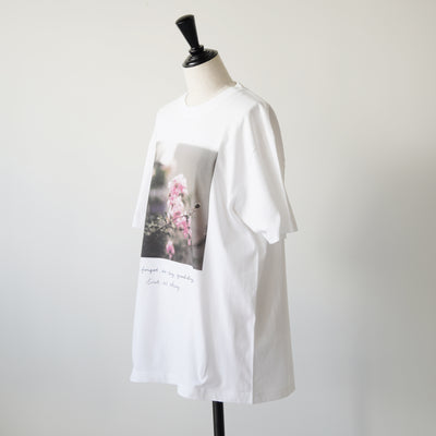 MEGUMI ACORDA / JAPAN TOUR 2024 GOODS (T-SHIRTS / YOU FORGOT TO SAY GOODBYE)