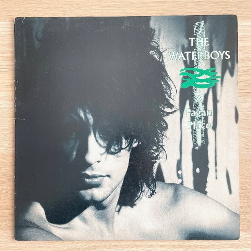 THE WATERBOYS / A PAGAN PLACE (LP)