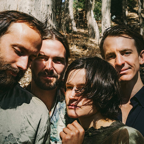BIG THIEF / TWO HANDS (LP)