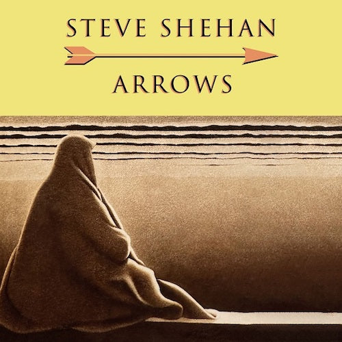 STEVE SHEHAN / ARROWS (LP)