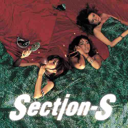 SECTION-S / WWW. (LP)