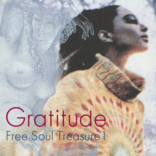 V.A. / GRATITUDE ~ SUBURBIA meets ULTRA-VYBE "FREE SOUL TREASURE 1" (LP)