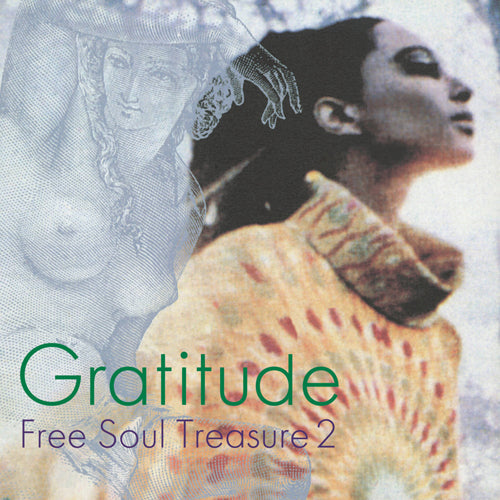 V.A. / GRATITUDE ~ SUBURBIA meets ULTRA-VYBE "FREE SOUL TREASURE 2" (LP)