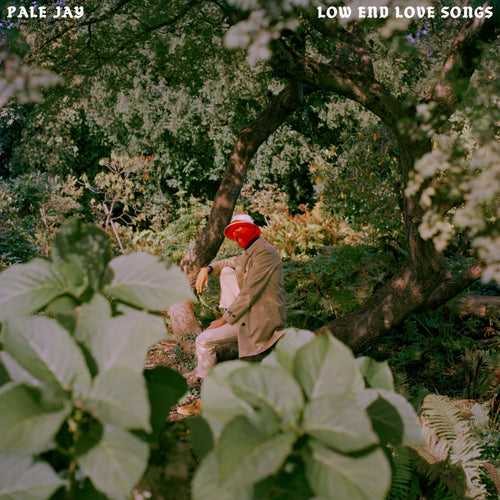 PALE JAY / LOW END LOVE SONGS (LTD / STORM CLOUD GREY VINYL) (LP)