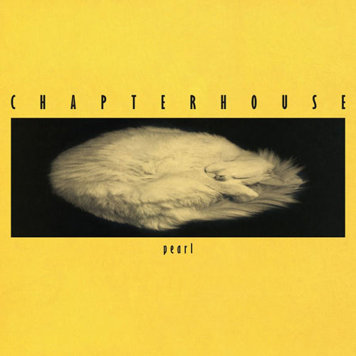 CHAPTERHOUSE / PEARL (LTD / 180g / TRANSLUCENT YELLOW VINYL) (12")