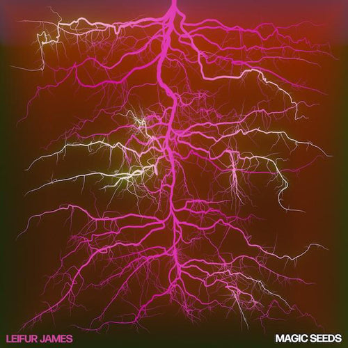 LEIFUR JAMES / MAGIC SEEDS (LP)