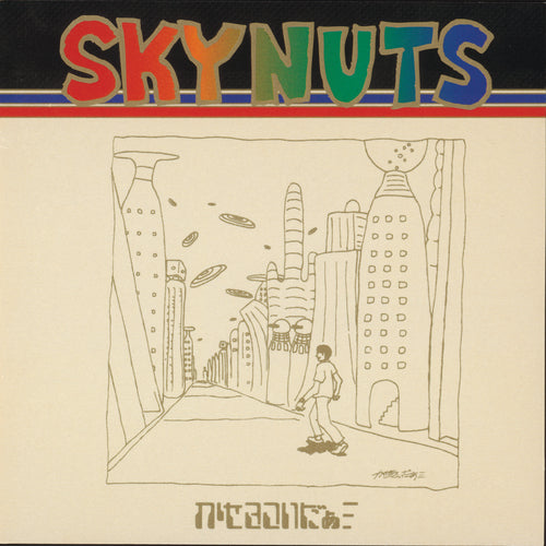 かせきさいだぁ / SKYNUTS (LP)