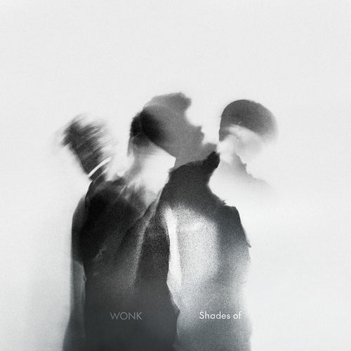 WONK / SHADES OF (180g) (2LP)