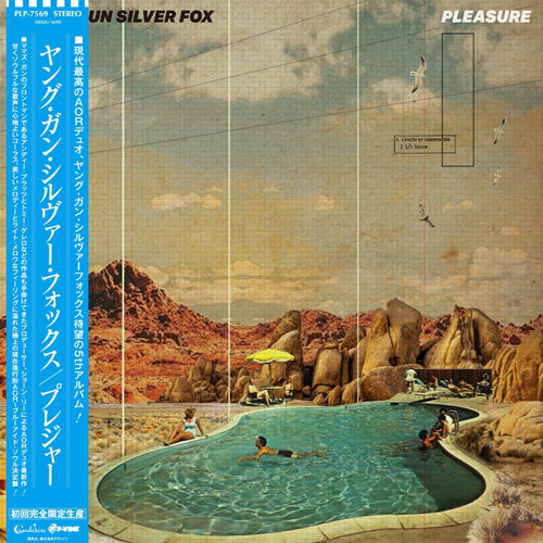 YOUNG GUN SILVER FOX / PLEASURE (LP)