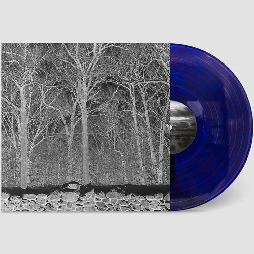 PILE / SUNSHINE AND BALANCE BEAMS (LTD / TRANSPARENT MIX BORIS PURPLE VINYL) (LP)
