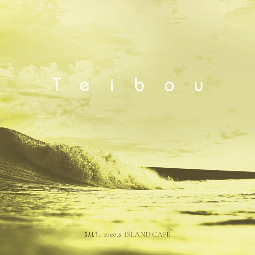 TOKIMEKI RECORDS feat. ひかり / 堤防 (7")