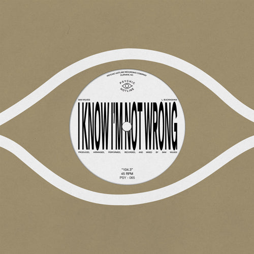 SAM WILKES / 104.3 (7")