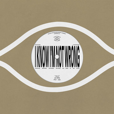 SAM WILKES / 104.3 (7")