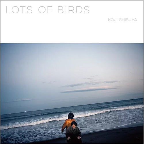 澁谷浩次 / LOTS OF BIRDS (LP)