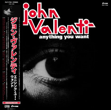 JOHN VALENTI / ANYTHING YOU WANT (LP)