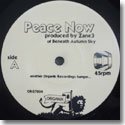 ZANE3 / SMAZE (BENEATH AUTUMN SKY) / PEACE NOW (7")