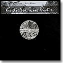 THEO PARRISH AND AMP FIDDLER / GENTRIFIED LOVE PART 2 (12")