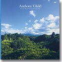 【SALE 30%オフ】ANTHONY CHILD / ELECTRONIC RECORDINGS FROM MAUI JUNGLE VOL.2 (2LP)