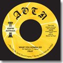 FRUIT / WHAT YOU GONNA DO (7")