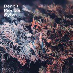 BENOIT PIOULARD / SYLVA (LP)