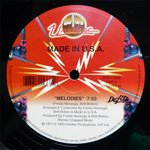 MADE IN USA / MELODIES／SHAKE YOUR BODY (12")