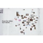 NOT WONK / DOWN THE VALLEY (TAPE)