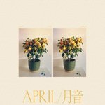 【SALE 20%オフ】EMMY THE GREAT / APRIL / 月音 (LP)