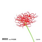 【SALE 30%オフ】象眠舎 / LYCORIS feat.中村佳穂 / SUNSET BLVD. feat. SARAH FURUKAWA (7")