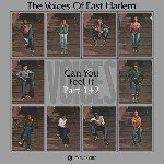 THE VOICES OF EAST HARLEM / CAN YOU FEEL IT PART 1 + 2 (7")【セール対象外】