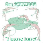 【SALE 20%オフ】AVOCADOS / I NEVER KNEW (7")