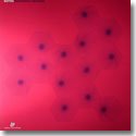 【SALE 40%オフ】BOTTIN / DISCOCRACY REVISITED (12")