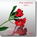 V.A. (SUPERPITCHER, bvdub, LOOPS OF YOUR HEART etc...) / POP AMBIENT 2012 (LP+CD)