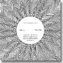 HOUSE OF WALLENBERG feat. ARI UP / SUNSHINE TABOO (7")