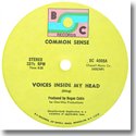COMMON SENSE / VOICES INSIDE MY HEAD (12")
