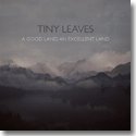 TINY LEAVES / A GOOD LAND, AN EXCELLENT LAND (CD)