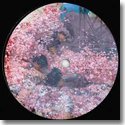 PHIL GERUS / OPPOSITES LEFT TOGETHER EP (10")