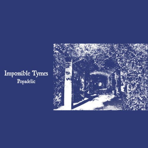 IMPOSSIBLE TYMES / POPADELIC (LP)