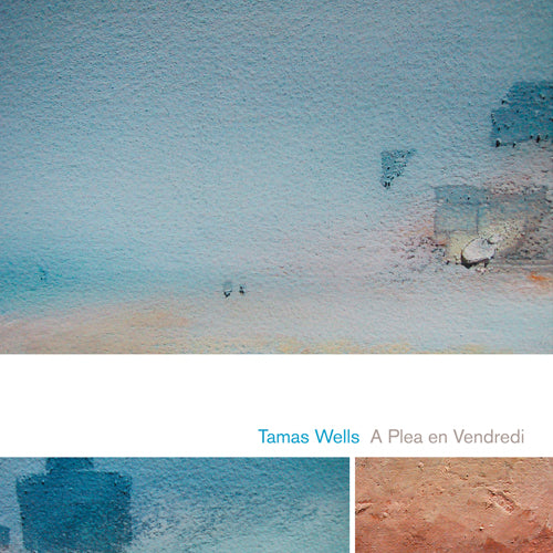 【SALE 20%オフ】TAMAS WELLS / A PLEA EN VENDREDI (LTD / 15th ANNIVERSARY EDITION) (LP)