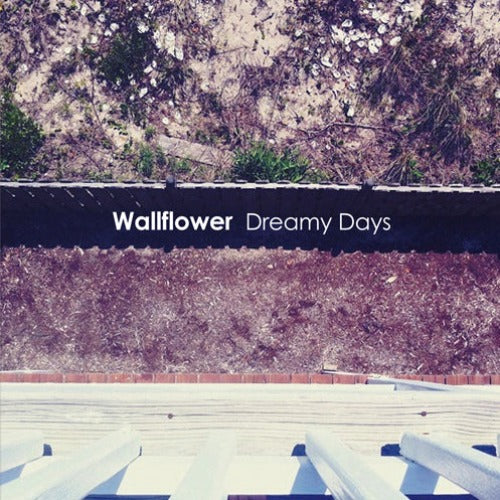 WALLFLOWER / DREAMY DAYS (7")