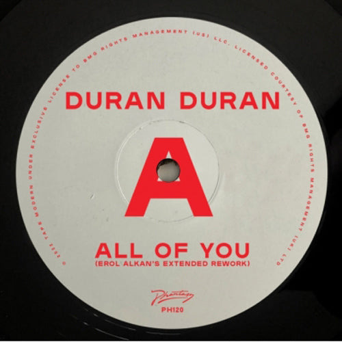 DURAN DURAN / ALL OF YOU (EROL ALKAN'S EXTENDED REWORK) (12")